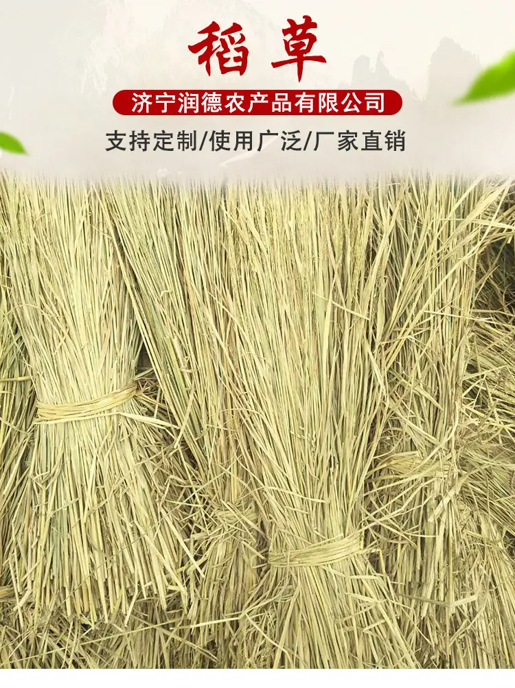 1a4ca77ac316288b74cabc918b5357
