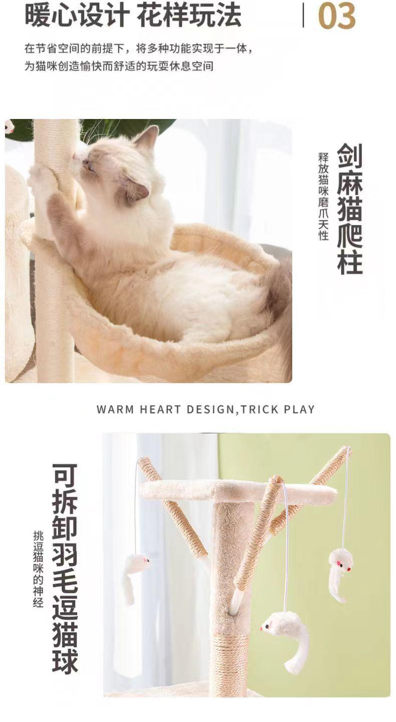微信图片_202405071127423