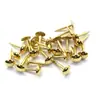 Tapa Grosor Personalizado Diámetro 8mm Uñas de Burbuja, Clavos Roscados Decorativos para Muebles Electrochapados, Clavos Redondos de Latón Decorativos para Ferretería, Clavos para Zapatos
