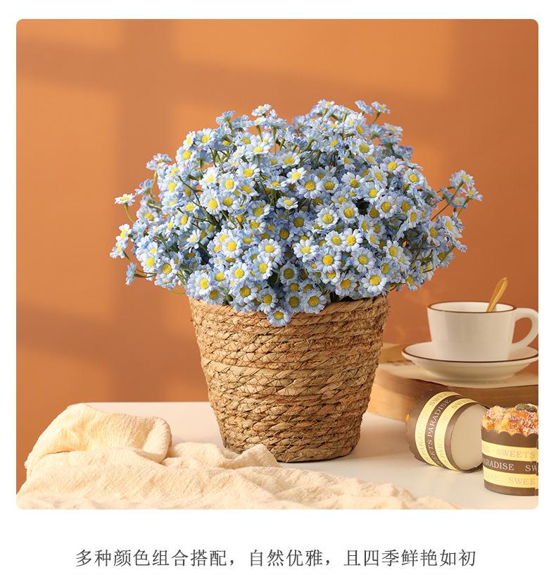 布拉格6枝扎小雏菊_05.jpg