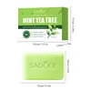 Nuevo Pre-venta Todo Inglés SADER Jabón Refrescante Calmante de Menta y Árbol de Té 105g Venta al por Mayor Transfronteriza