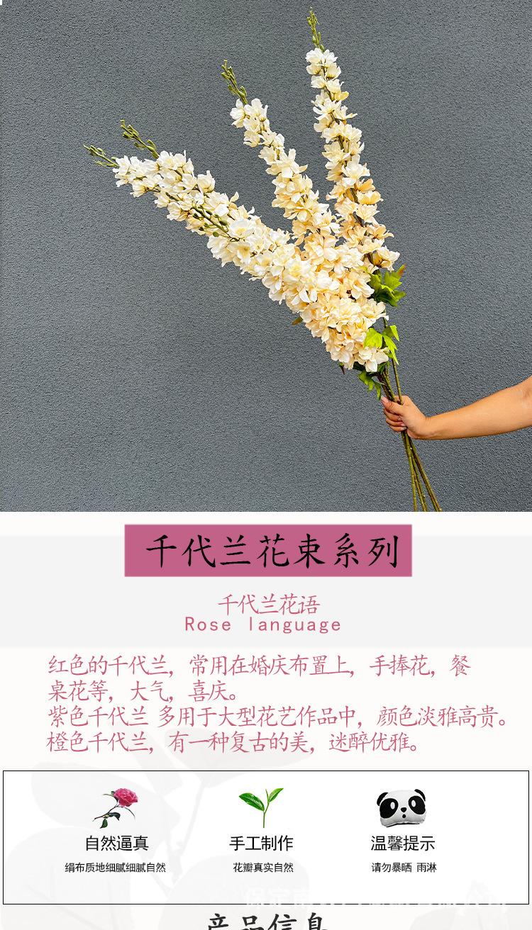 千代兰详情模板_01.jpg