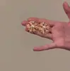 Anos Dourados, Luxo Leve, Brincos Longos com Franjas Douradas, Brincos Únicos de Flor Super Brilhantes com Franjas de Alta Qualidade