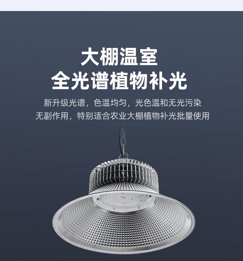 工矿灯_05.jpg
