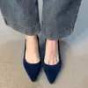 Colección Otoño 2026: Zapatos Mary Jane de punta fina, corte bajo, cómodos, estilo francés, versátiles, elegantes y adecuados para el trabajo.