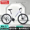 Bicicletas de comercio exterior, bicicletas de montaña para adultos, bicicletas todoterreno, modelos para hombre, bicicletas para jóvenes, bicicletas para desplazamientos y bicicletas de velocidad variable - los fabricantes ofrecen opciones de personalización