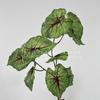 10 Hojas de Taro Artificiales, Plantas Verdes Simuladas, Arreglos Florales para Salones de Bodas, Decoración del Hogar, Decoraciones de Mesa, Flores Artificiales