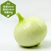 Adereços de vegetais de simulação modelo de vegetal de simulação folhas de alface falsas brócolis repolho adereços de supermercado frutas e vegetais crianças
