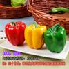 Modelo de frutas y verduras de plástico falsas maíz pepino verde comida muebles de alacena de cocina accesorios de juego de educación temprana