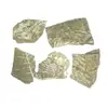 Set de Fósiles Trilobite Pez Lobo Fósil Amonite Resina de Copal Nautilus Diente de Tiburón Fósil Real