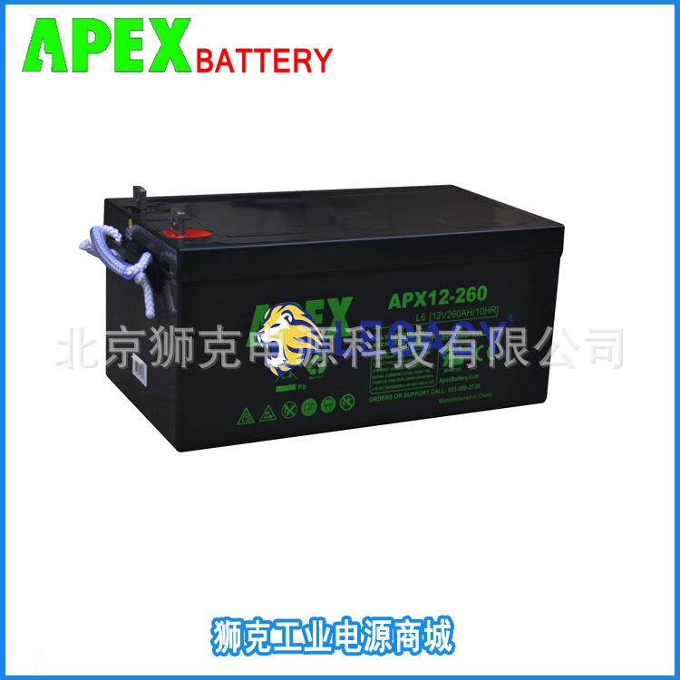 APX12-260.jpg