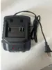 Máquina de Limpeza Elétrica de Alta Pressão Doméstica Floresta Verde, Ferramenta de Limpeza Portátil Sem Fio para Carro e Jardim Multi-Cenário