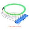 Chicote multimodo SC/LC/FC/ST Om 50k Zhao 12 núcleos de fibra óptica Pigtail