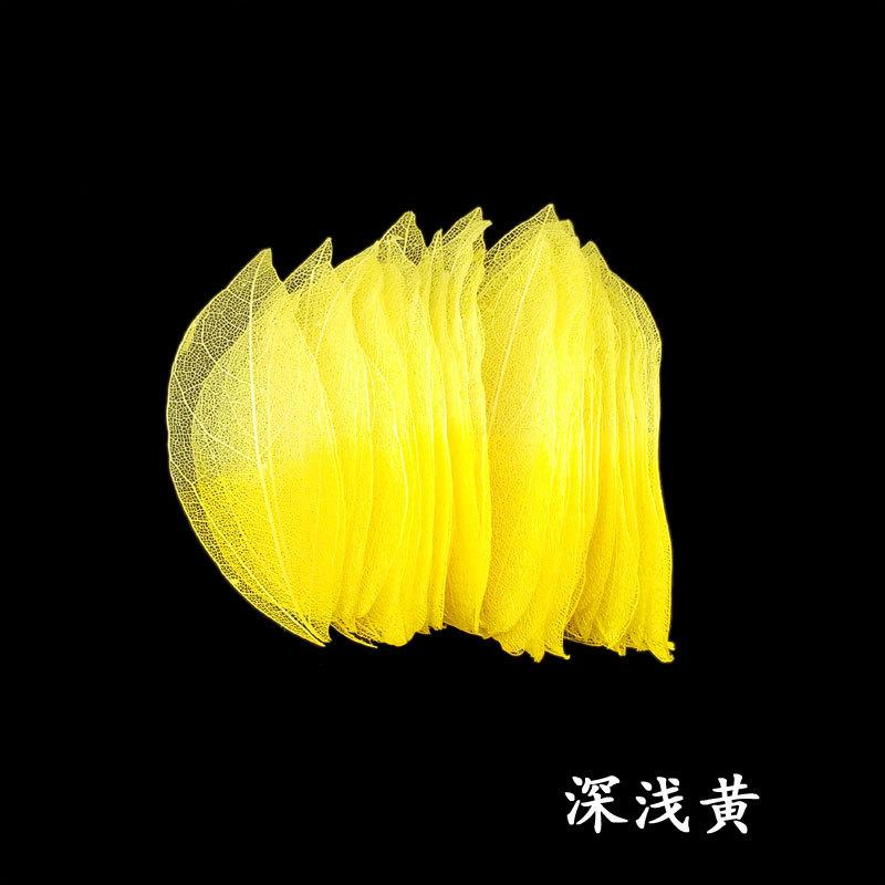 双色金刚叶深浅黄.jpg