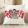 Almohada de Gato Mayor de Cabeza Redonda Hakimi Almohada de Gato Creativa de Doble Cara Cojín de Sofá de Meme de Gato Fabricante de Origen