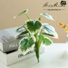 Flor artificial, planta verde corta, suministros creativos de bricolaje, accesorios de flores falsas, planta, suministro directo de fábrica, tela de seda, flor falsa