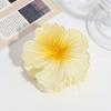 Pinza de Garra de Flor Degradada Caliente Transfronteriza Parte Trasera de la Cabeza Dulce Moda Flor de Cerezo Pinza de Tiburón Fuera Todo Combinable Accesorios para el Cabello Simples