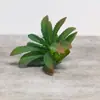 Venda Quente Transfronteiriça Cabeça de Flor Suculenta Simulada DIY Planta Flor Artificial Criativa Estilosa Planta Verde Decoração de Casa Fabricante da Fonte