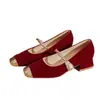 Zapatos de Tacón Grueso Estilo Francés para Mujer, Punta Cuadrada, Correa Única, Nuevo Estilo Primavera y Otoño 2026, Zapatos de Salón Mary Jane Elegantes con Bloques de Color, Boca Baja
