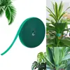 Planta verde trepadora modelado gancho y bucle verde correa de amarre planta verde correa de amarre rama fija soporte de unión para arreglo floral