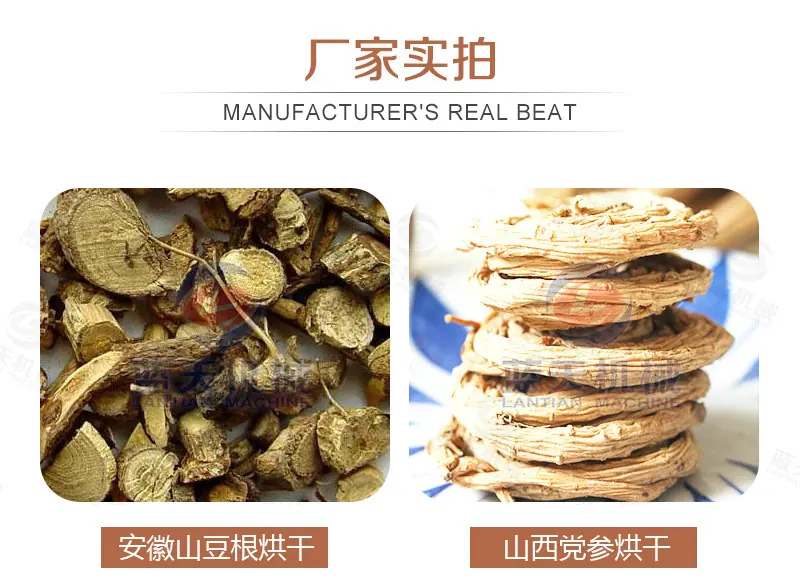 板蓝根烘干机_23.jpg