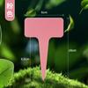 Etiquetas de Jardinagem Espessas, Etiquetas de Solo, Etiquetas para Flores e Plantas, Etiquetas para Suculentas, Etiquetas Coloridas de Plástico