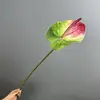 Venda direta da fábrica Flor artificial de antúrio vermelho EVA com toque realista, folha de lótus grande de caládio, decoração de planta verde ecológica sul-americana
