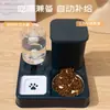 Comedouro e Dispensador de Água Automático para Gatos Dois em Um Tigela de Ração para Gatos Uso Duplo Tigela Grande para Cães Água Potável Tigela de Água para Gatos Pet