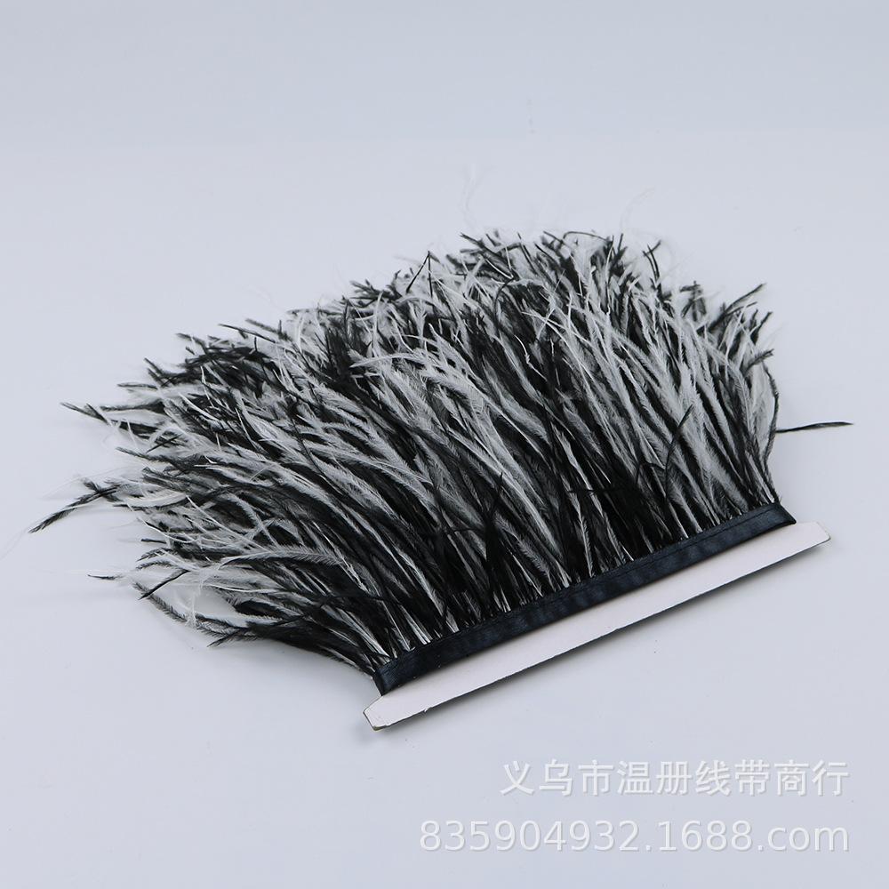 white and black ostrich feathe