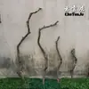 Ramas Secas, Troncos, Ramitas, Ramas Muertas, Troncos de Madera Muerta, Perchas para Pájaros, Colgadores de Ropa de Pared, Decoraciones de Ramas de Techo