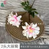 2 Flores Artificiais Grandes de Dália para Decoração, Flores Falsas de Dália para Casamentos, Decoração de Casa, Flores de Seda, Decoração de Hotel Arte Floral
