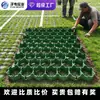 Ventas Directas de Fábrica, Personalización de Proyectos de Comercio Exterior, Rejilla de Plástico HDPE para Plantación de Césped Resistente a Alta Presión para Paisajismo Ecológico, Rejilla de Alta Resistencia para Plantación de Césped