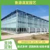 Proyecto de Invernadero Inteligente para Edificios Multispan, Construcción de Invernaderos Inteligentes de Policarbonato, Construcción de Invernadero para Parque de Demostración Agrícola