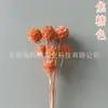 Molino de Viento Fruta de Flor Preservada, Materiales Florales Decorativos Fruta de Piña de Flor Preservada, Adornos para Arreglos Florales, Venta Directa de Fábrica, Superventas Transfronterizos