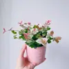 [Piedra Colgante de Flores y Hojas] Plantas Verdes Trepadoras Coloridas, Plantas de Flores en Maceta de Escritorio en la Oficina, Fáciles de Cultivar, Resistentes al Calor y al Frío