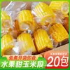 Maíz en mazorca con trozos de fruta Biang Xiaoji listo para comer, envasado al vacío, maíz dulce sin cocción, snack para residencias estudiantiles, sustituto de comida para el desayuno