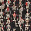 96 Pegatinas para Analizar la Estructura de los Músculos Humanos, Pegatinas para Cuaderno de Conocimiento de Anatomía para Estudiantes de Medicina, Impermeables