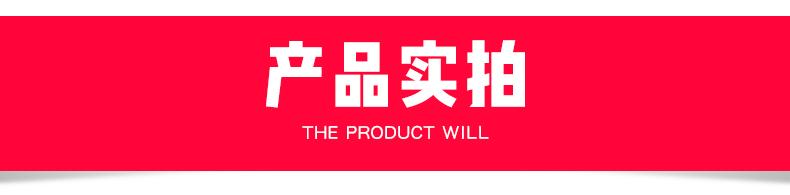 玻璃纤维棒切片_09