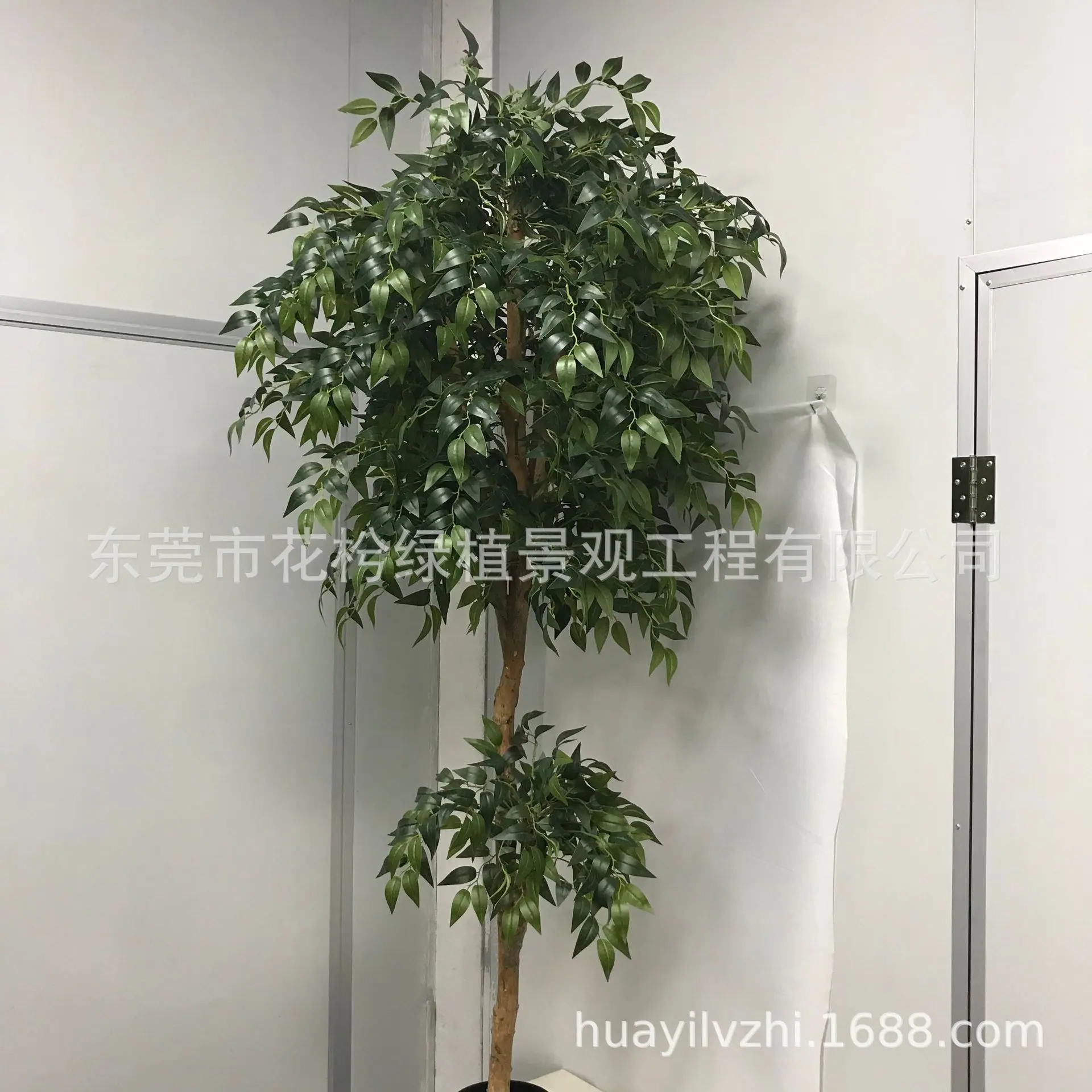 微信图片_202105280944529