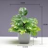 Venda quente transfronteiriça Simulação de planta Planta falsa Planta verde Decoração interna e externa Simulação de eucalipto em vaso de plástico Planta pequena em vaso