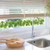 Nuevo Fun-F1057 Enredadera de Hojas Verdes Frescas Decoración de Pared de Fondo para Restaurante Cocina Pegatina de Pared Autoadhesiva y Removible