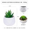 Mini piedra de diamante de Amazon, simulación de plástico, combinación carnosa, adornos de escritorio, simulación de planta verde, planta carnosa pequeña en maceta.