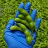 Edamame en Vaina Congelado Rápido Grado Exportación de Taiwán, 75 Tesoros Verdes, Disponible para Suministro Inmediato, Edamame Fresco Congelado para Procesamiento, Venta al por Mayor Disponible
