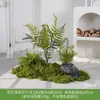 [Série Huair de Três Caracteres] Musgo Artificial Simulado Bonsai Planta Verde Decoração Arranjo Exibição de Janela Bonsai