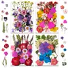 33 Piezas de Combinación con Relieve, Se Pueden Usar para Calcomanías Hechas a Mano, Fundas de Teléfono Secadas con Pegamento, Velas de Aromaterapia, Producción Creativa de Flores, Decoración del Hogar, Regalos de Acción de Gracias y Navidad