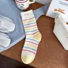 Meias de Renda Bordadas com Desenhos Animados Fofos para Primavera e Outono para Mulheres, Estilo Japonês Moderno, Doces e Jovens, Meias Arrastão Sem Costura para Estudantes