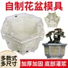 Molde hexagonal grueso de hormigón para macetas de cemento, maceta casera estilo europeo, nuevo modelo de plantación de bonsái