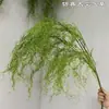 Fabricante de Plantas Verdes Artificiales: Venta al por mayor de Hojas de Tortuga de 7 cabezas, Hojas de Begonia, Hojas de Calathea, Hojas Persas para Paisajismo de Selva Tropical y Decoraciones de Jardín