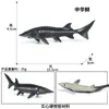 Modelos Realistas de Animales Marinos Transfronterizos: Tiburón Azul, Megalodón, Tiburón Ballena Gris, Tiburón Blanco, Tiburones Martillo Juguetes