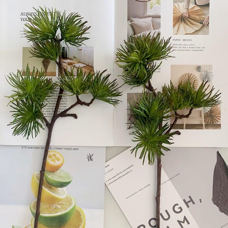 QQ图片20200315125019